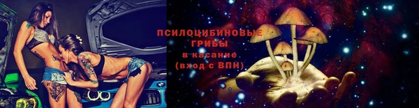 a pvp Няндома