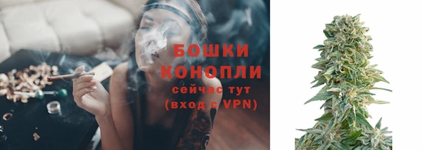 Альфа ПВП Новодвинск