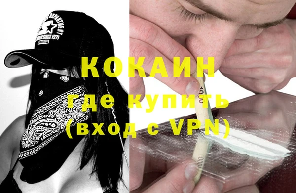 ешки Новозыбков