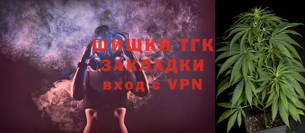 ешки Новозыбков