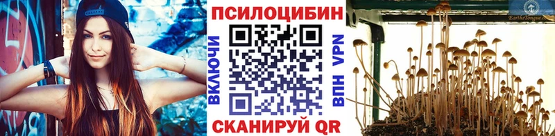 OMG   Мышкин  Галлюциногенные грибы прущие грибы 